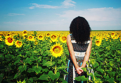 云呼手机号测压网页版